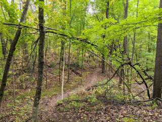 Straight Lake State Park