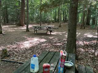 River Forest Campground and Outdoor  Retreats