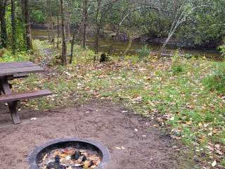 Oconto River off Mountain Lake Road