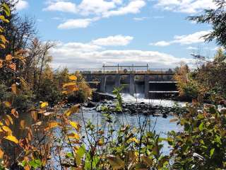 Chute Pond/Fischer Memorial Park