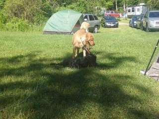 Timber Trail Campground