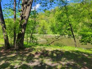 Bluff Valley Campground