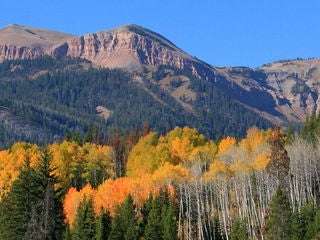 Cliff Creek Road