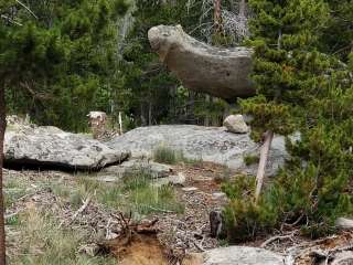 Christina Lake Trailhead Dispersed Sites