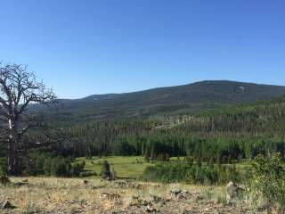 Medicine Bow 