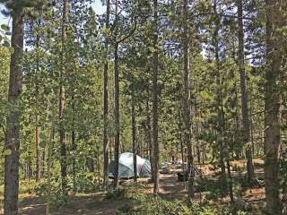 Cottonwood Campground Wyoming