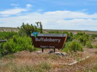 Buffaloberry Campground