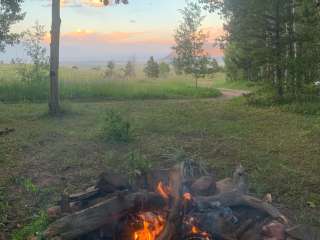 Laramie Overlook Disperesed Camping