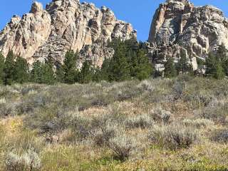 Curtis Gulch