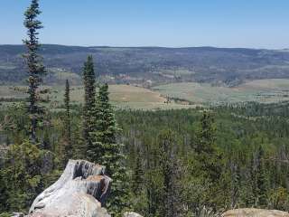 Lodgepole Campground