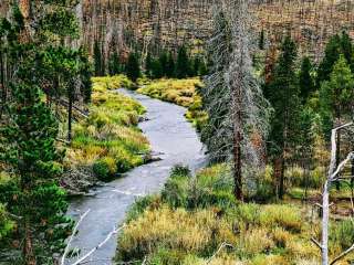 Pelton Creek Campground