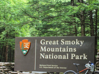 Cosby Campground — Great Smoky Mountains National Park