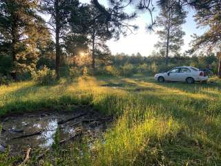 Black Hills National Forest Cook Lake Campground