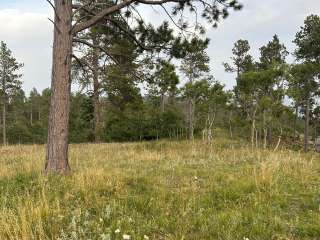 Hartman Rock Dispersed Site