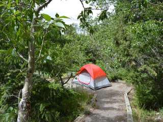 Five Springs Falls Campground