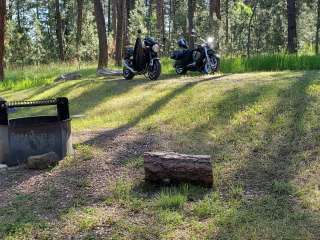 Bearlodge Campground