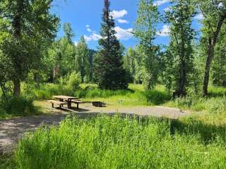 Pacific Creek (FR 30090) Designated Dispersed Campsite