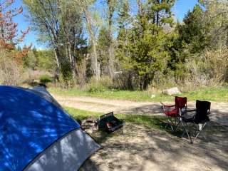 Taylor Ranch Road Dispersed Camping