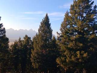 Curtis Canyon Dispersed Camping