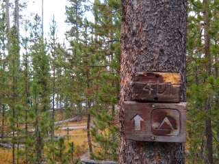 4D1- Ice Lake North - Yellowstone NP Back Country campsite — Yellowstone National Park