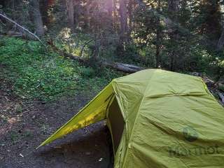 Open Canyon — Grand Teton National Park