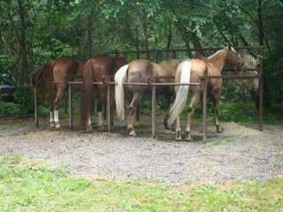 Cataloochee Horse Camp — Great Smoky Mountains National Park