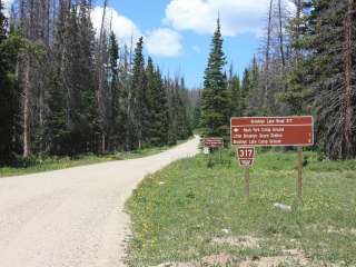 Little Brooklyn Lake Guard - Temporarily Closed