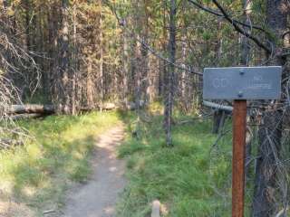 0D1 - Fairy Meadows - Yellowstone NP Back Country Campsite — Yellowstone National Park