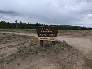 Bridger National Forest New Fork Lake Campground