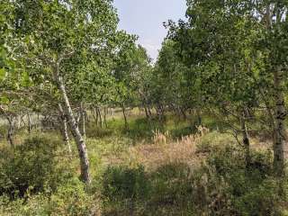 BLM Three Patches Picnic Area