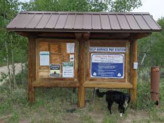 New Fork Campground