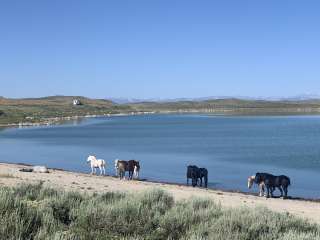 Soda Lake Wildlife Area