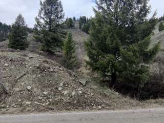 Little Greys River Trailhead