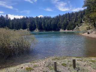 Cave Lake Campground