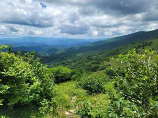 Roan Mountain State Park