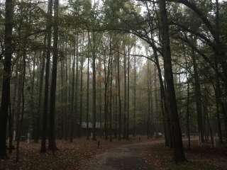 Meeman-Shelby Forest State Park