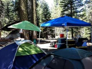 Almanor RV Dump Station