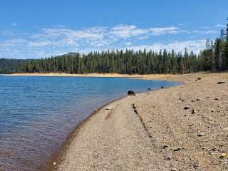 Plumas National Forest Black Rock Tent