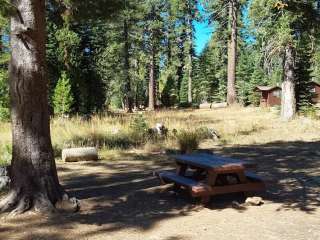 Tahoe National Forest Salmon Creek Campground