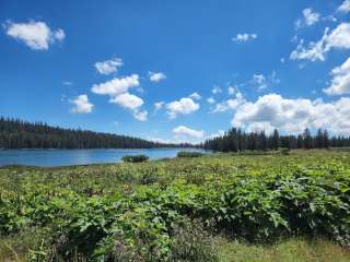 Tahoe National Forest Meadow Lake Knoll Group Camp