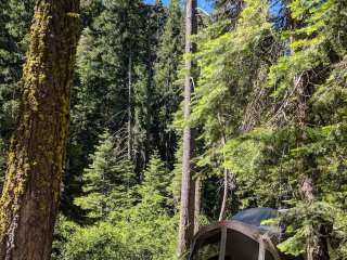 Tahoe National Forest Sierra Campground