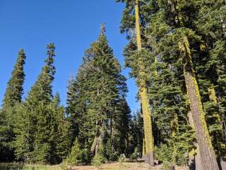 Sno-Park Yuba Pass Parking