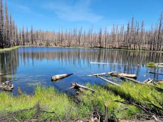 Lassen National Forest