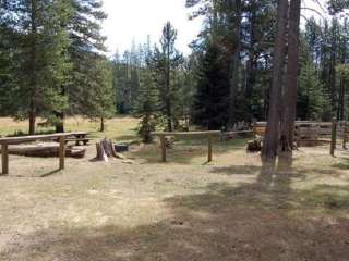 Little Lasier Meadows Campground