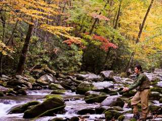 Abrams Creek Campground — Great Smoky Mountains National Park