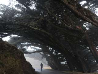 Sky Campground — Point Reyes National Seashore