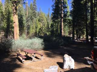 Middle Fork Cosumnes Campground