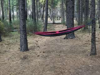 Calso - Boggs Mountain Demo Forest - TEMPORARILY CLOSED