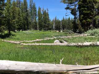 Wrights Lake Campground