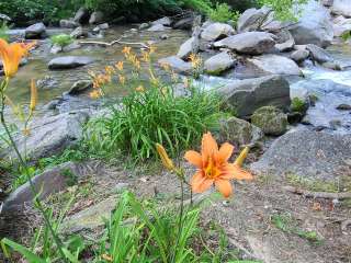 Hickory Nut Falls Family Campground